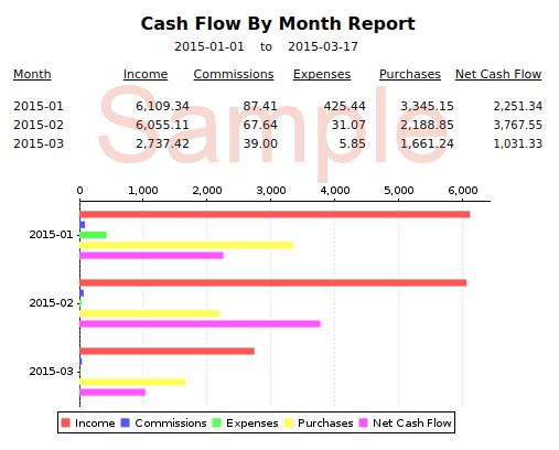 Cash flow by month report